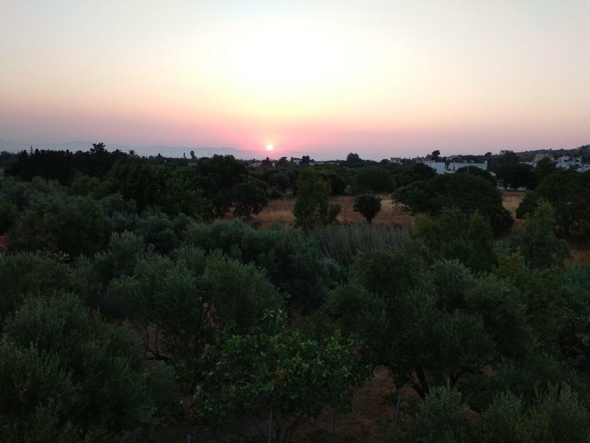 Nikitas & Loft Kos Town