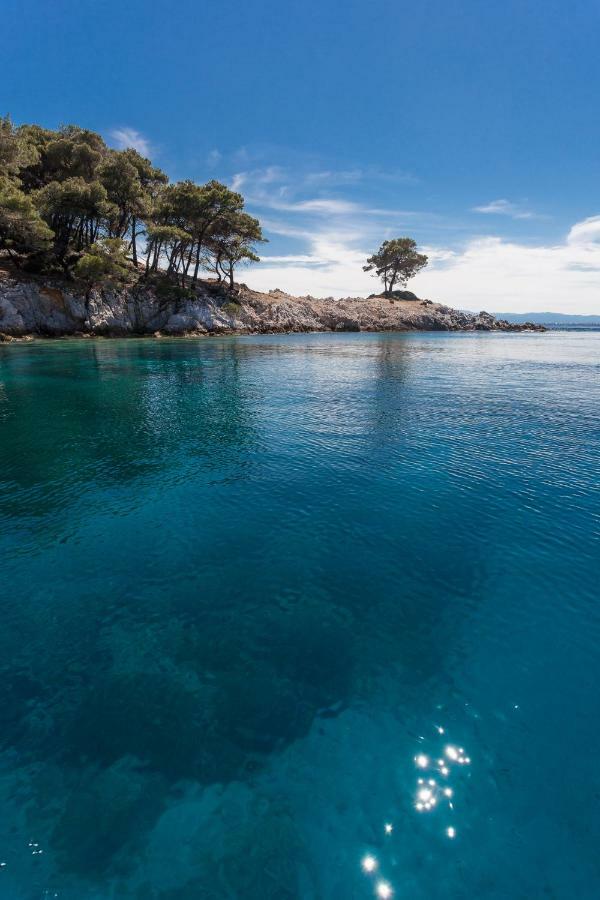 Elios Zen Villa