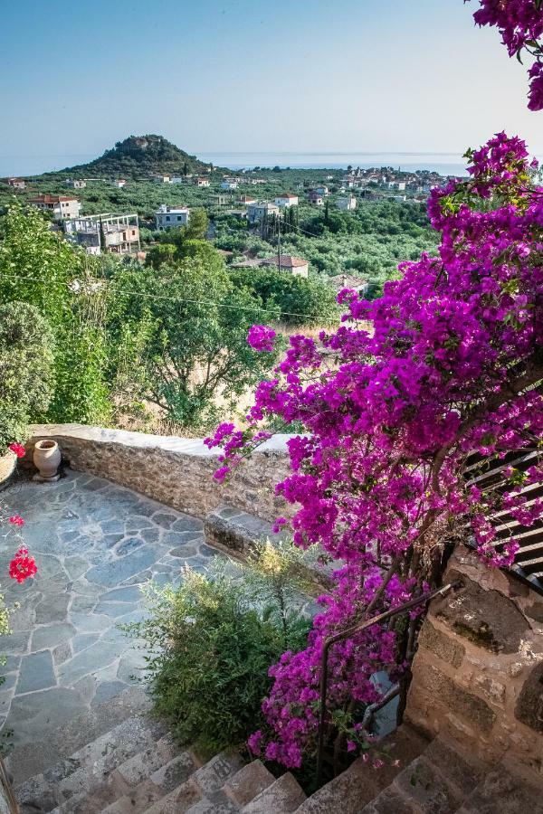 Positivespace Olive Tree Villa *