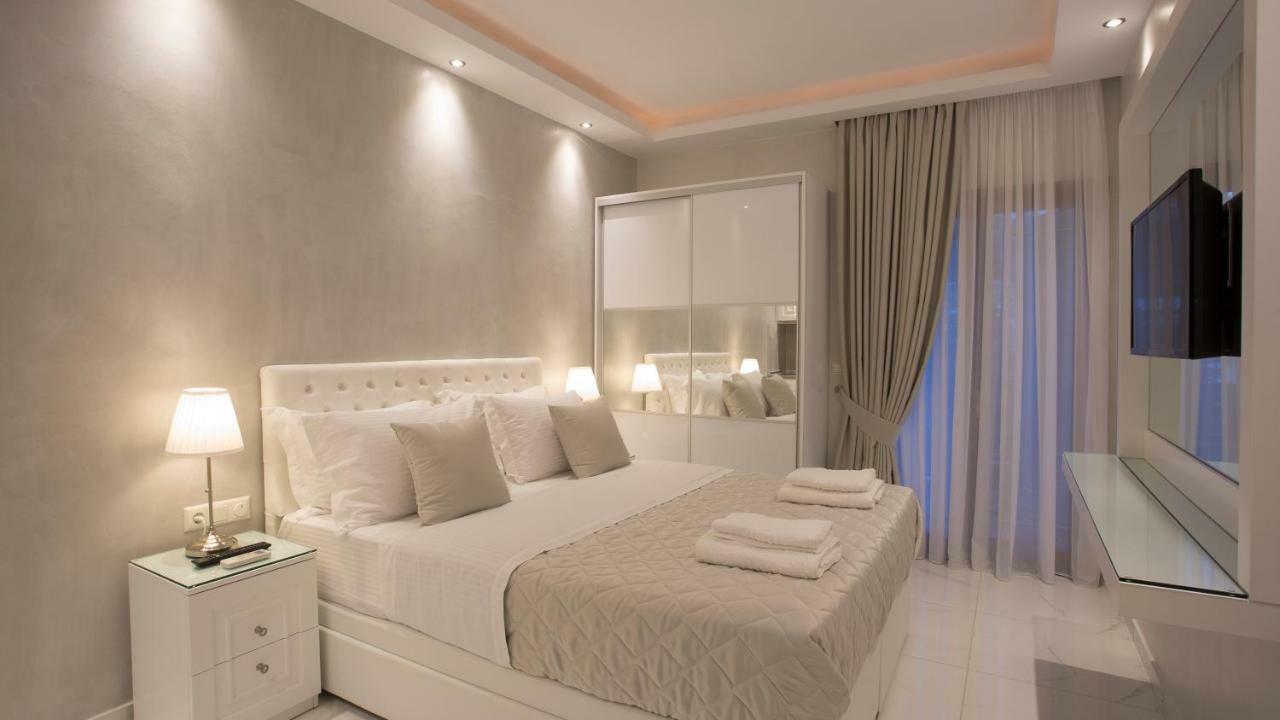 Amaryllis Luxury