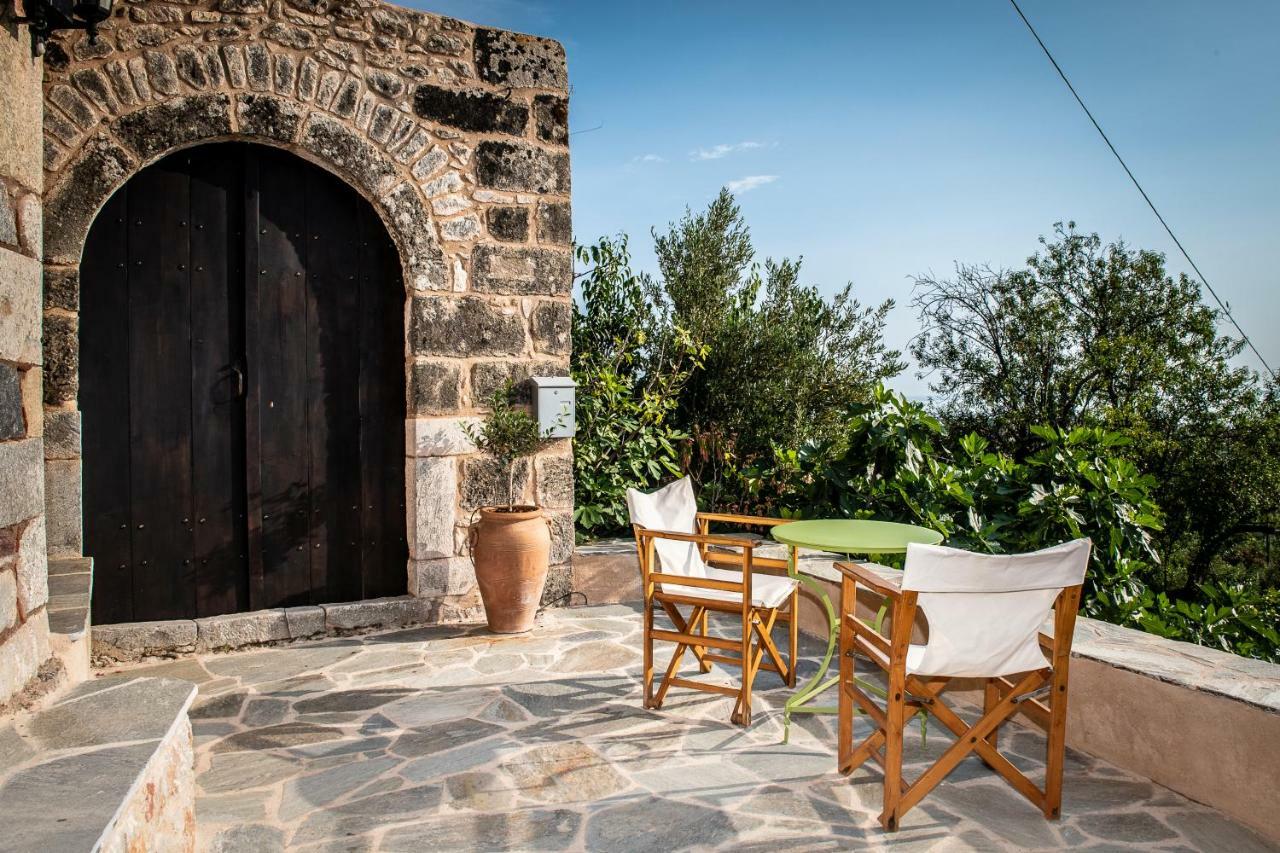 Positivespace Olive Tree * Levktron