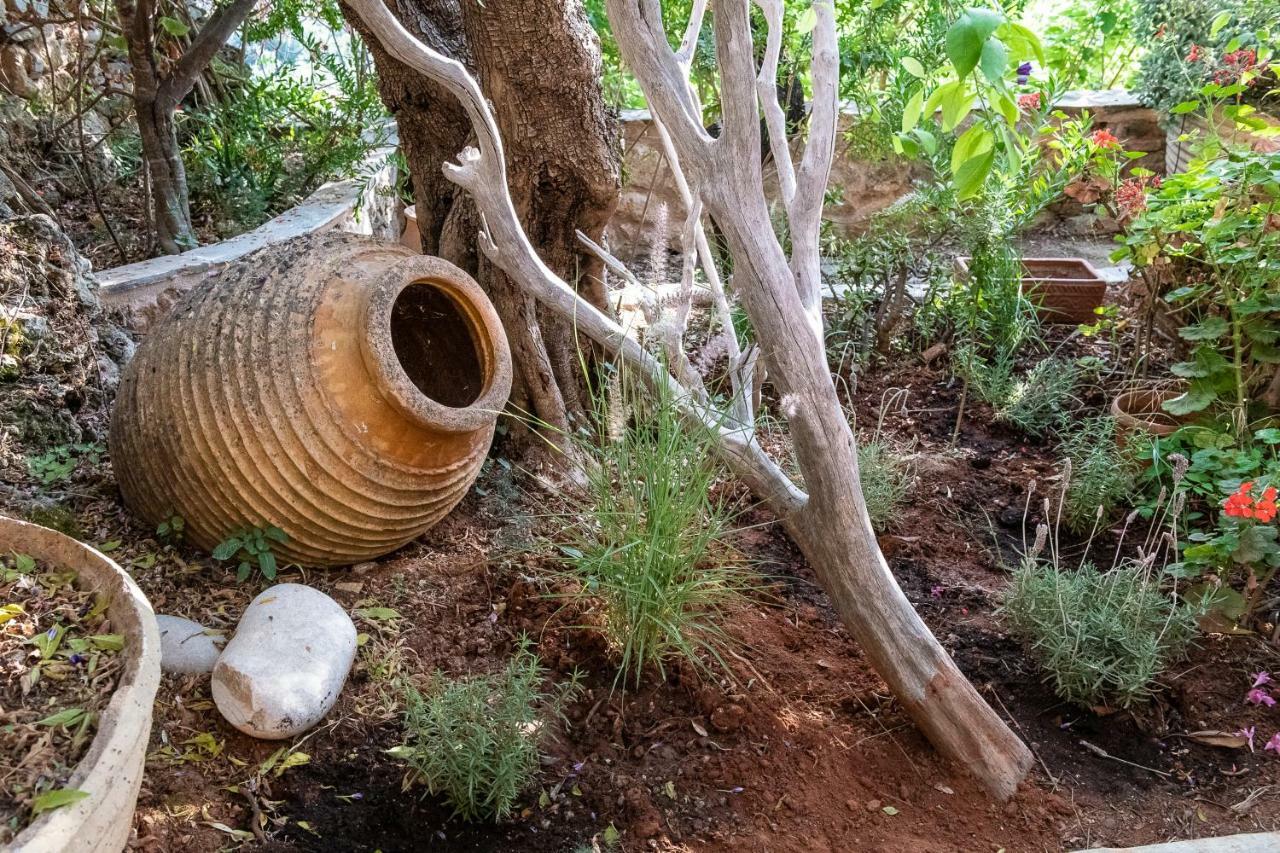 Positivespace Olive Tree * Levktron
