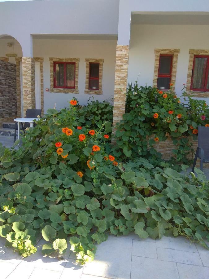 Efi Studio Aparthotel Kefalos (Kos)