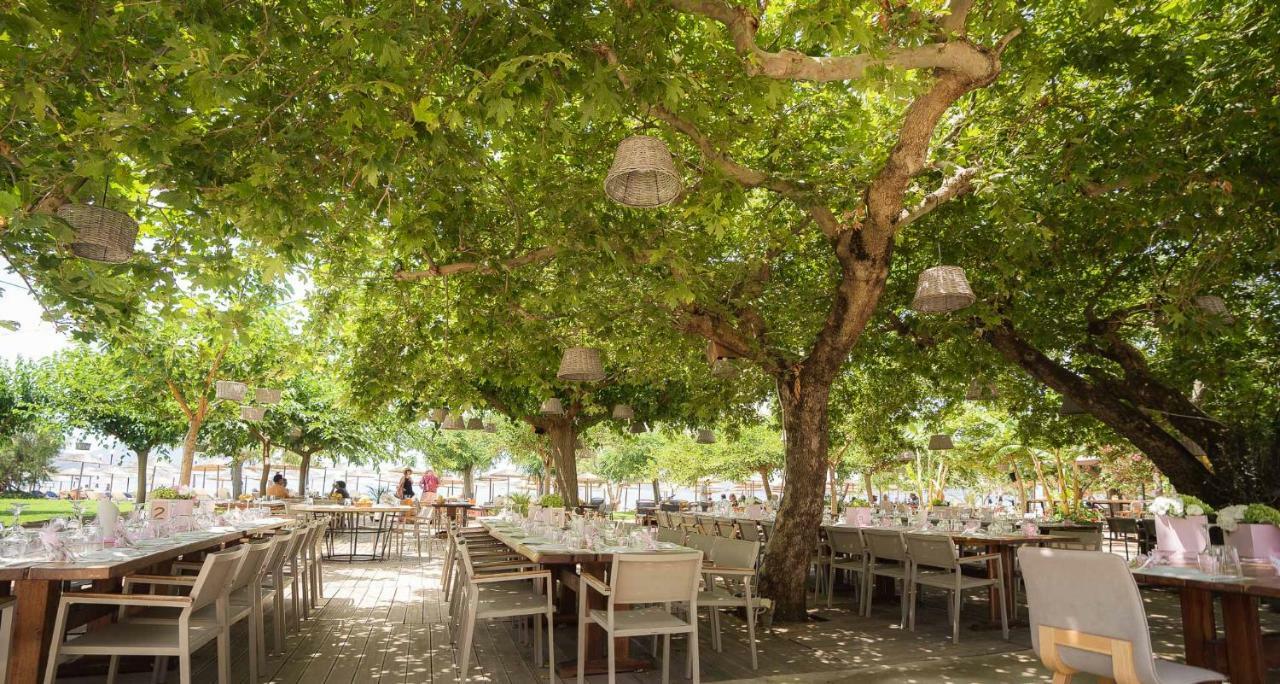 Hotel Zoe Seaside Gialova