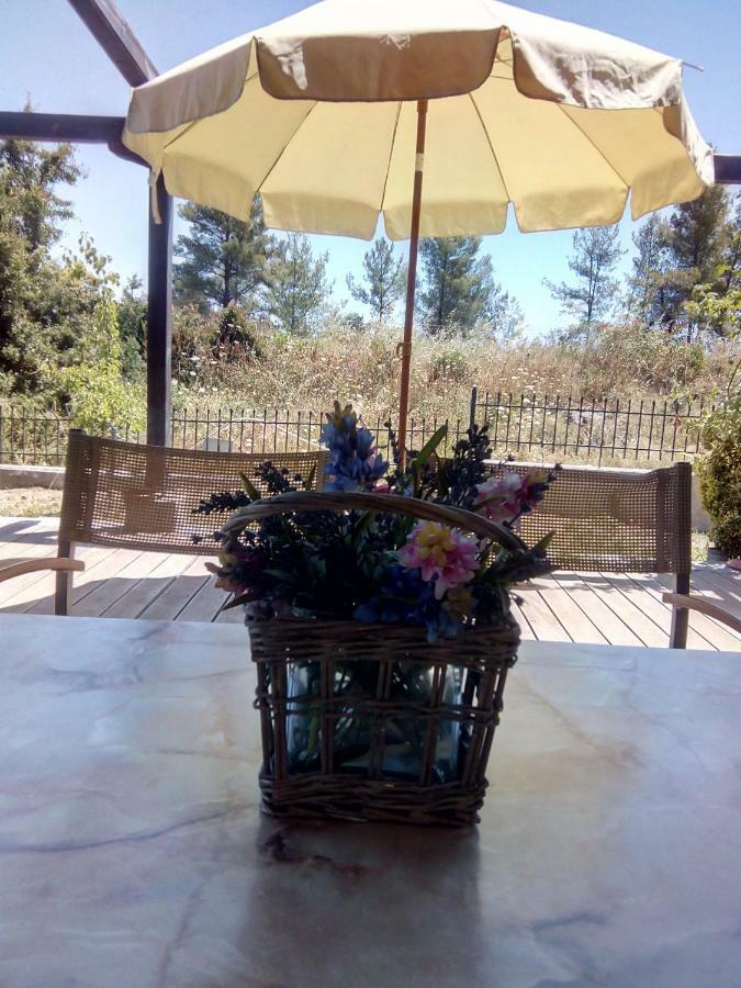 Halkidiki Aggeliki Maisonette * Paliouri