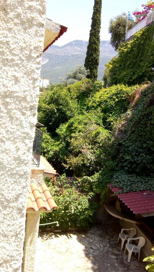 Apartment Mandola - Beachside