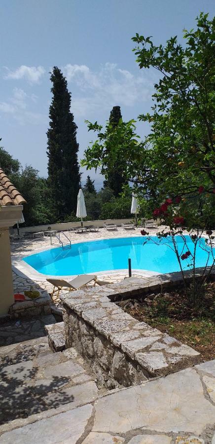 Apartment Aliki's Comfortable Holiday Apartments-great Location