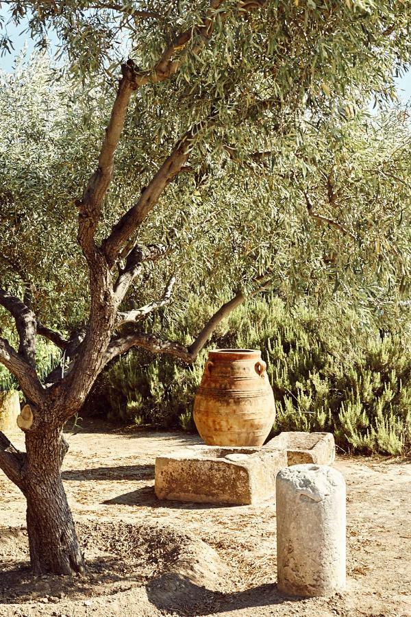 Guest house Nikolaou Art