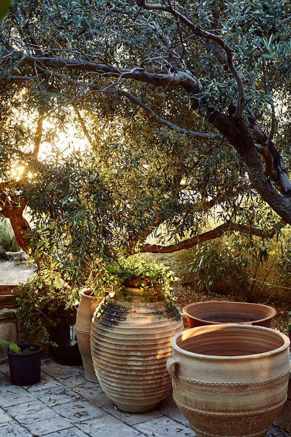 Guest house Nikolaou Art Aegina