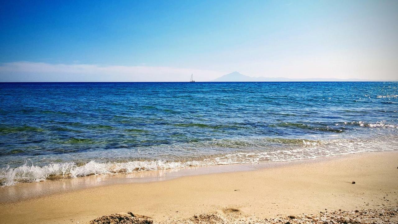 Sea La Vie - Maria *
