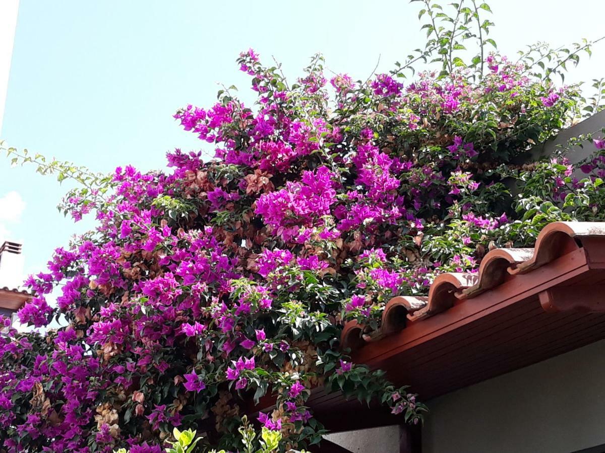 Peggy's House Holiday home Monastiraki (Phocis)