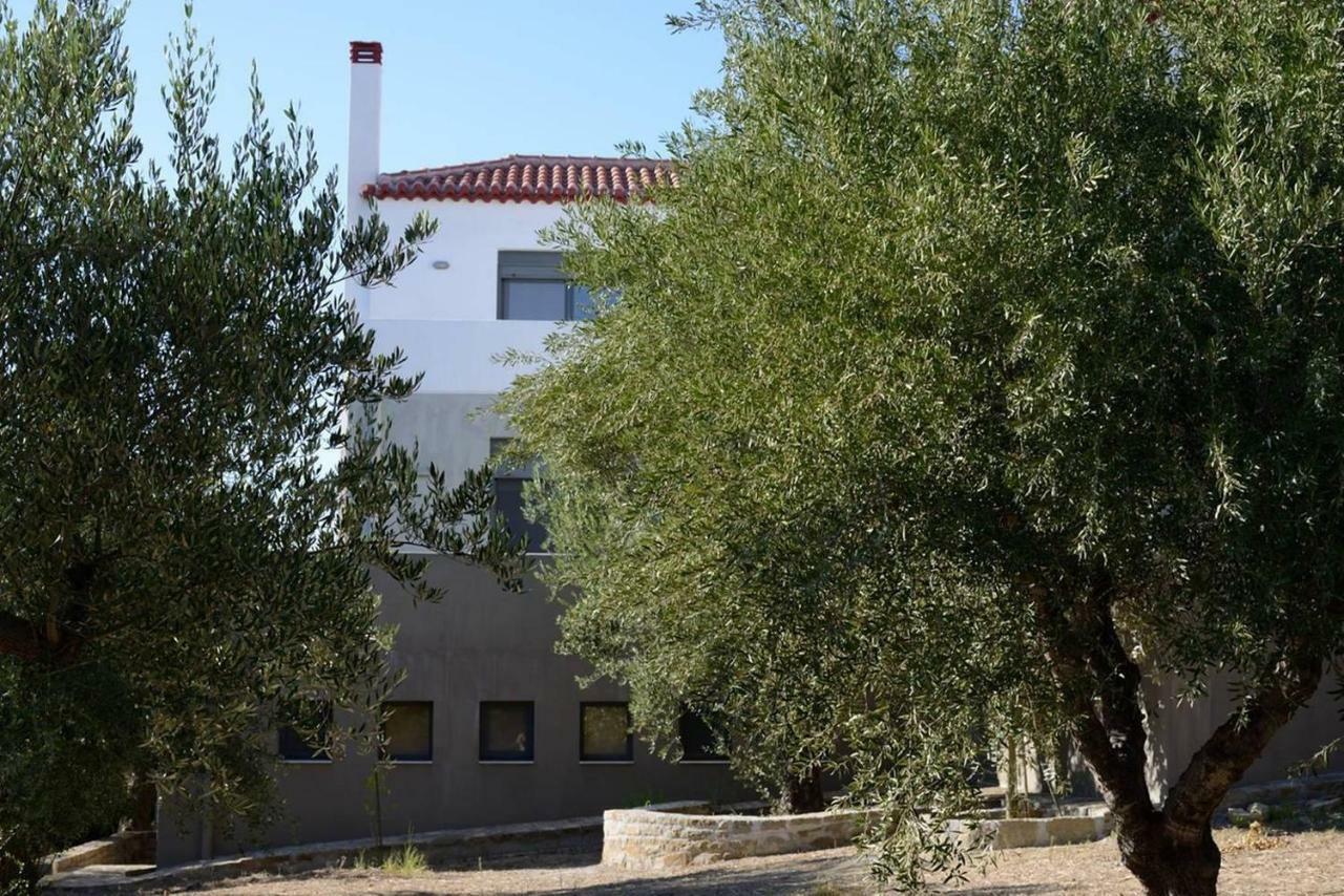 Villa Liofyto - Stylish With Views To Foinikounda Bay Kamaria (Messinia)
