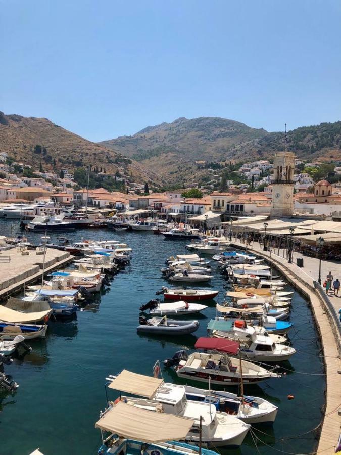 Hydra's View