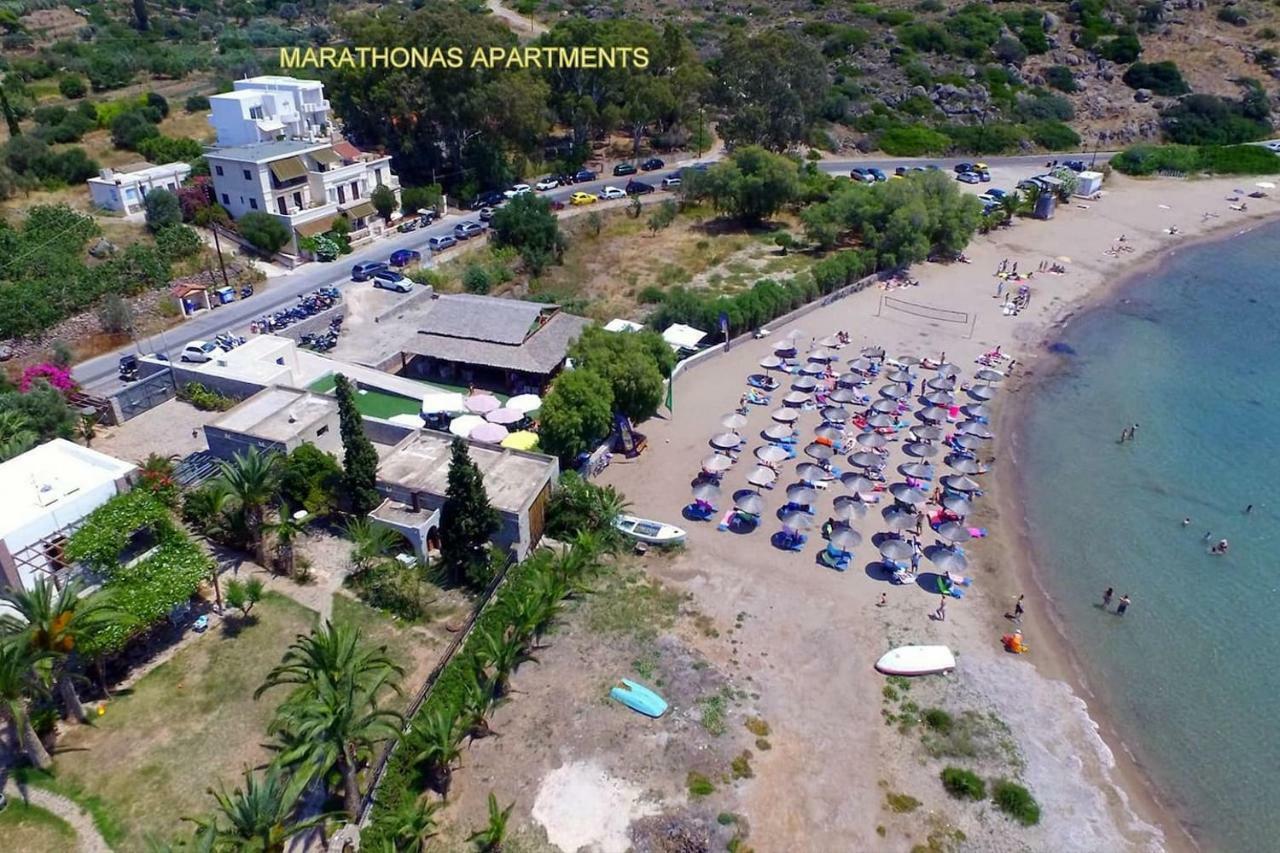 With Sea View And Balcony 60m From *
