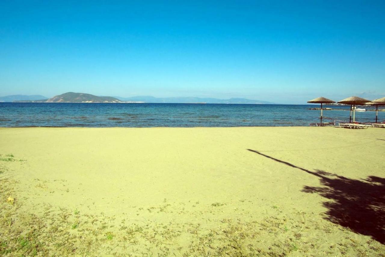 With Sea View And Balcony 60m From *