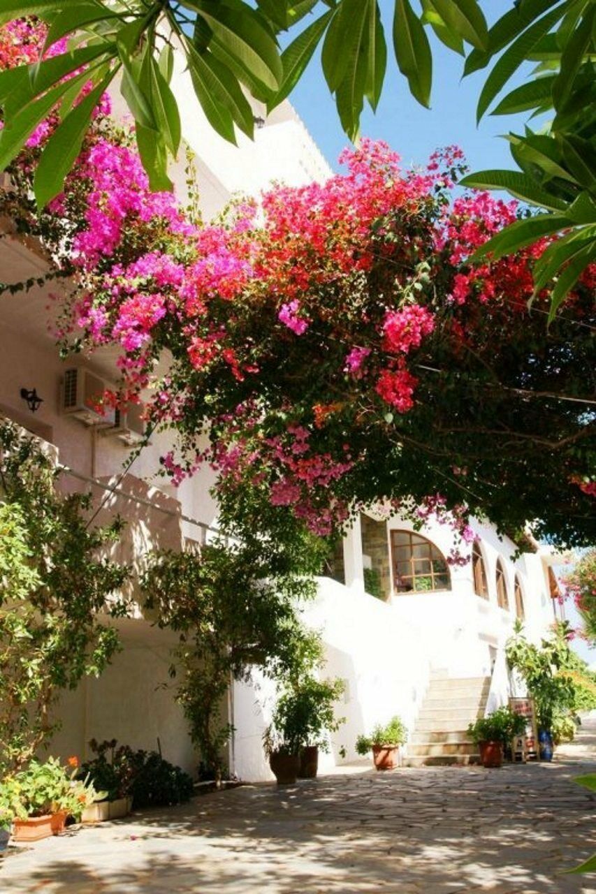 Chrysalis (adults Only) Hersonissos (Crete)