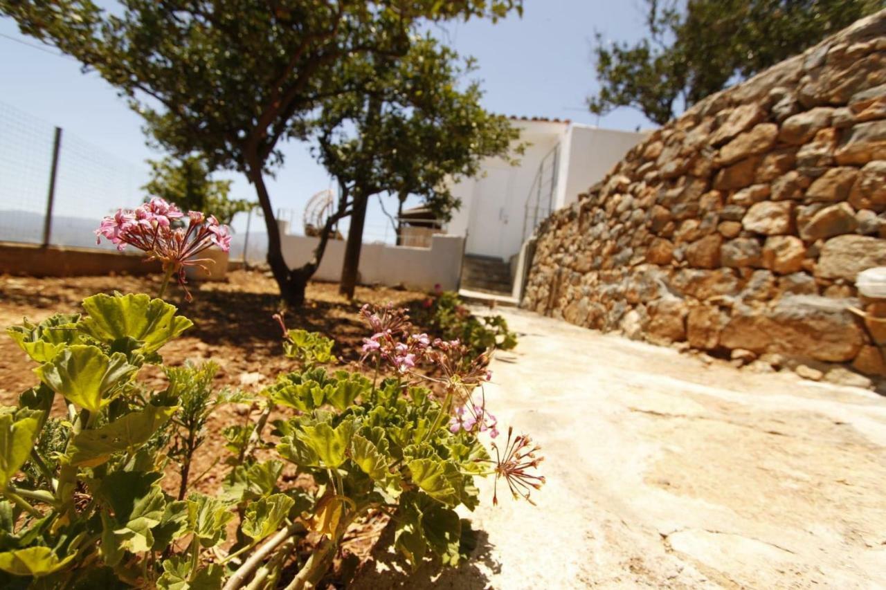 Veranda Agios Nikolaos (Crete)