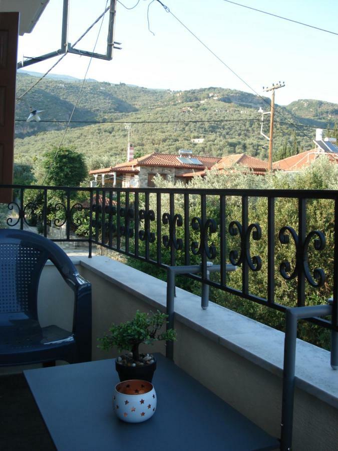 Orange Garden