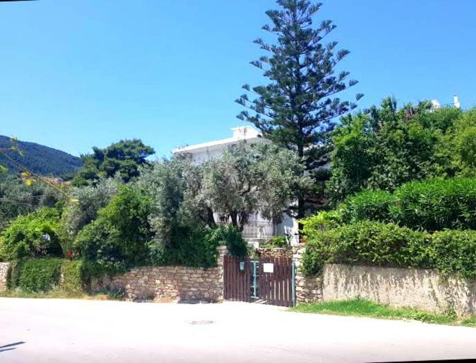 Greekowl Skiathos Town