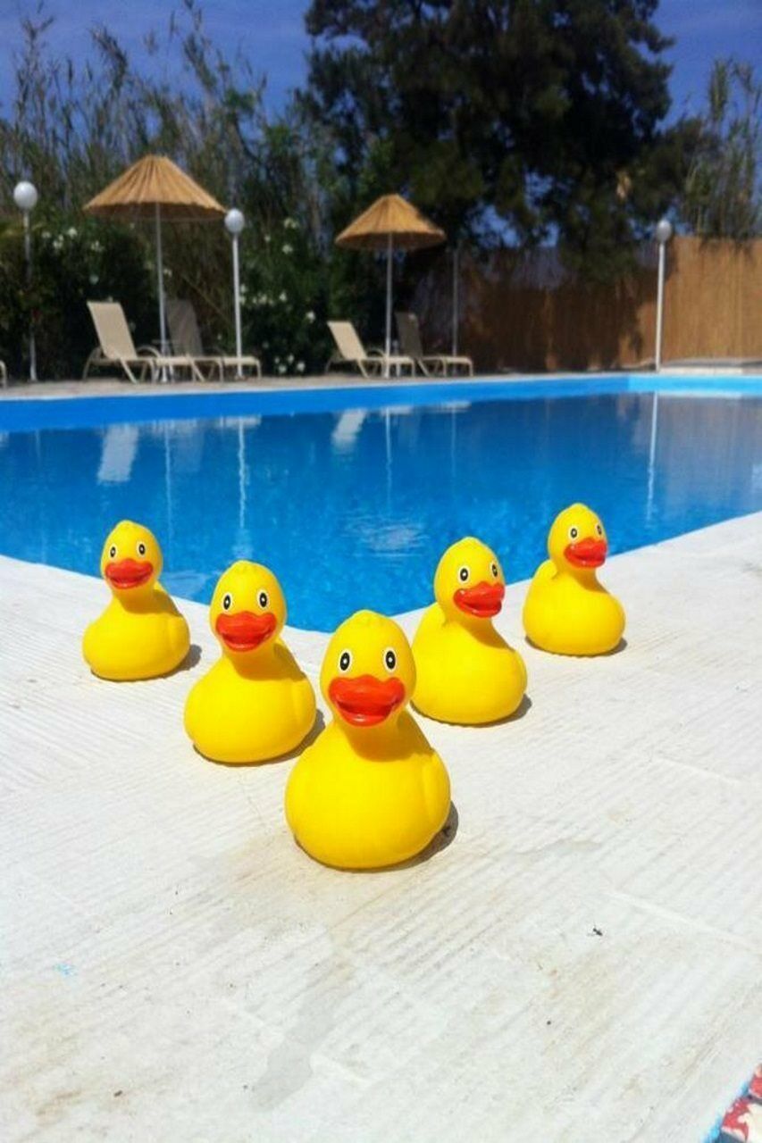 Hotel (adults Only)