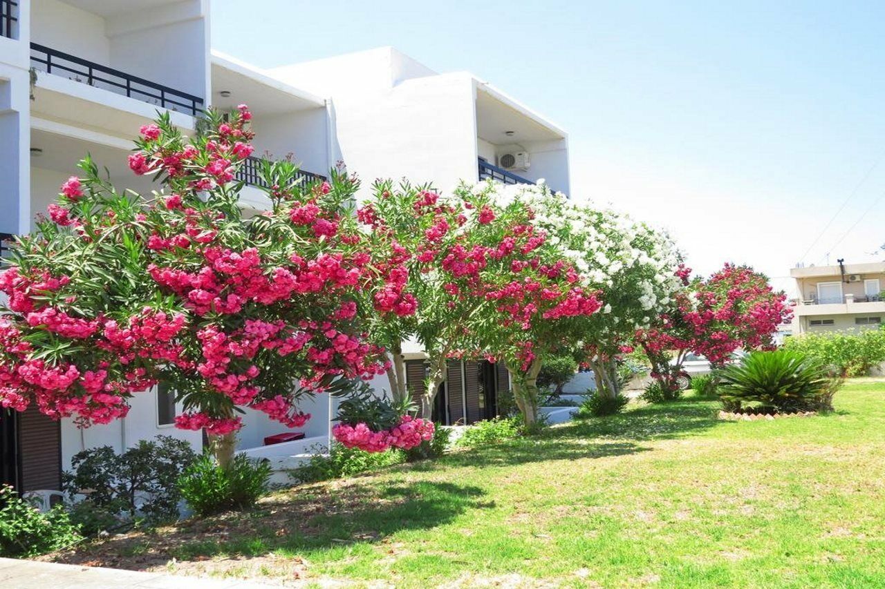 Aparthotel Debby