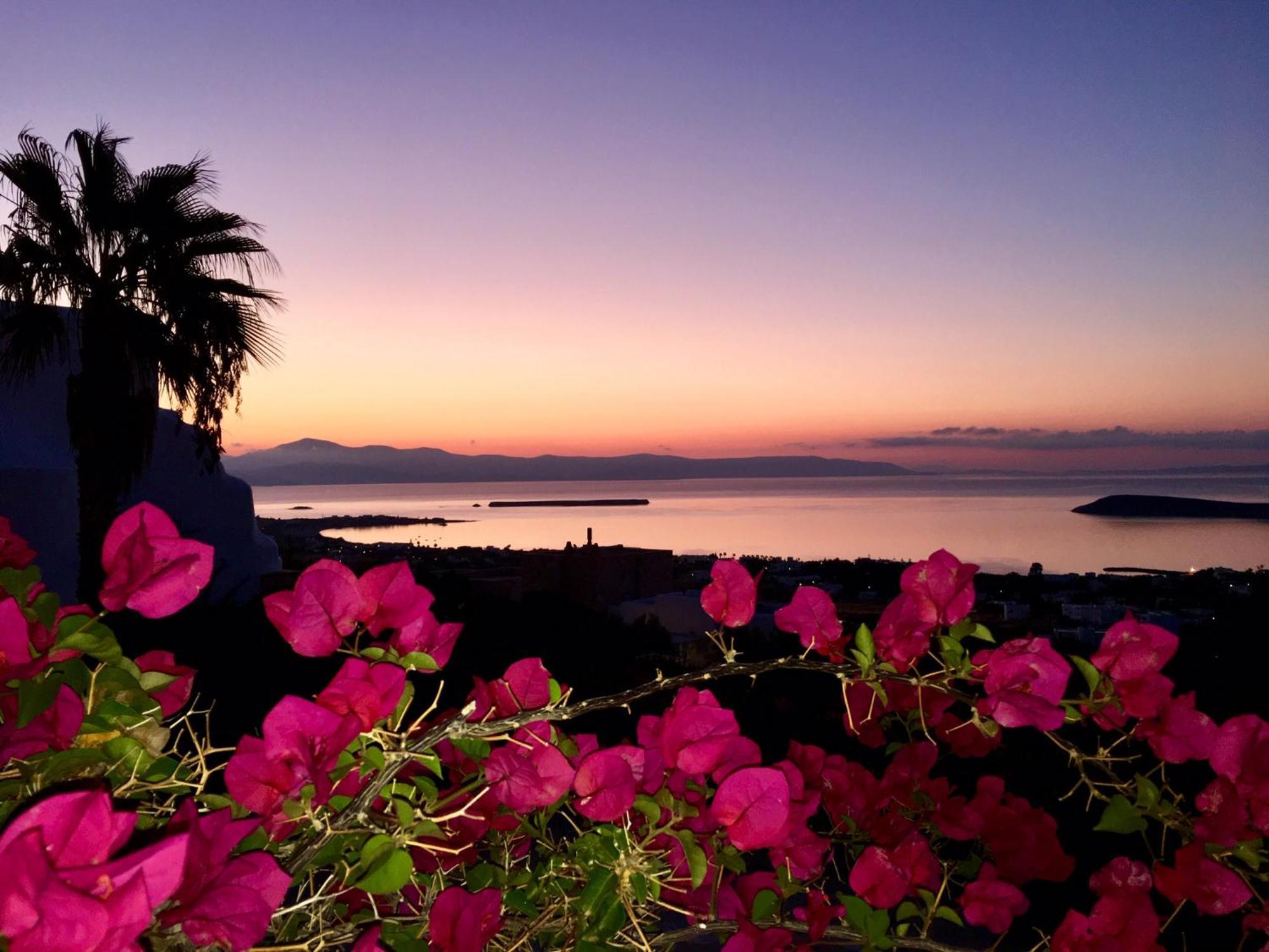 Rossi Paros Luxury And Apartment *