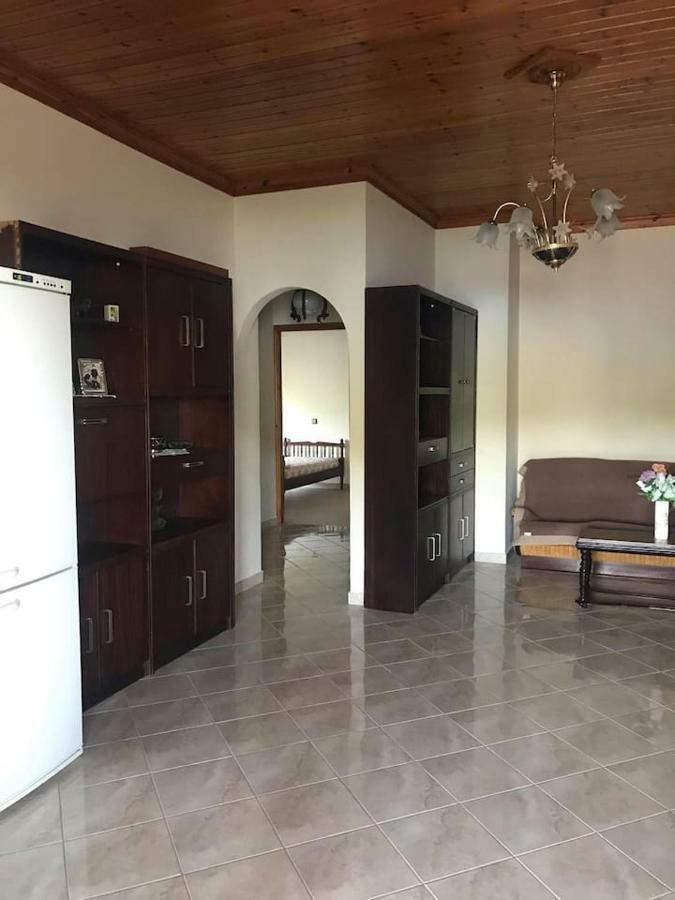 Dimitris House Apartment Vlikhon