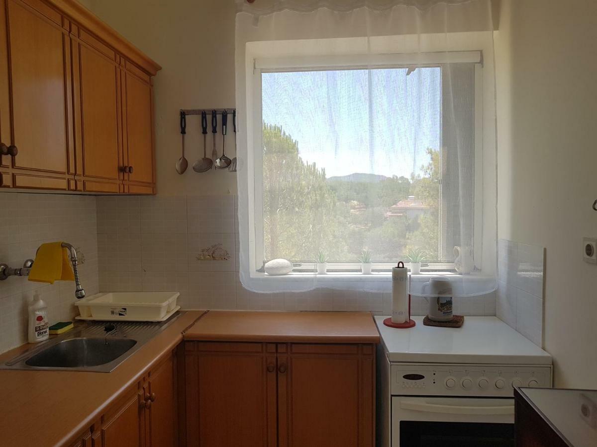 Apartment Gkionis *