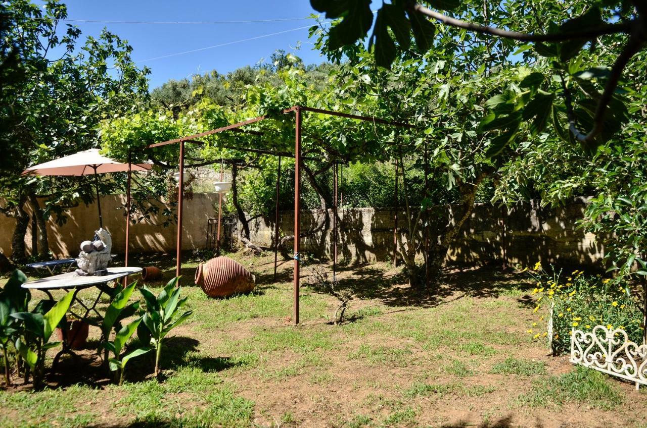 Doloi Garden House