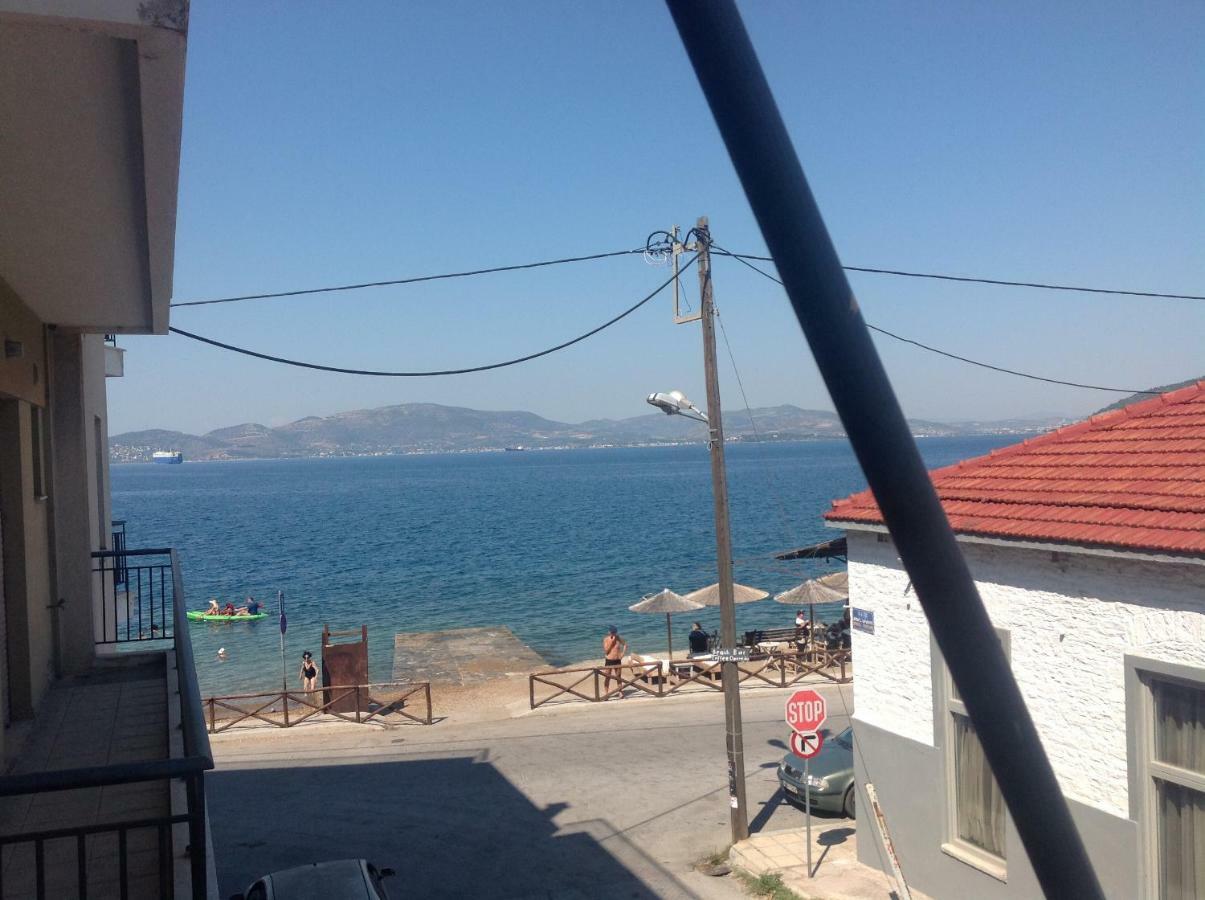 Filippos Apartments: Seaside Panoramic Views Apartment Agria