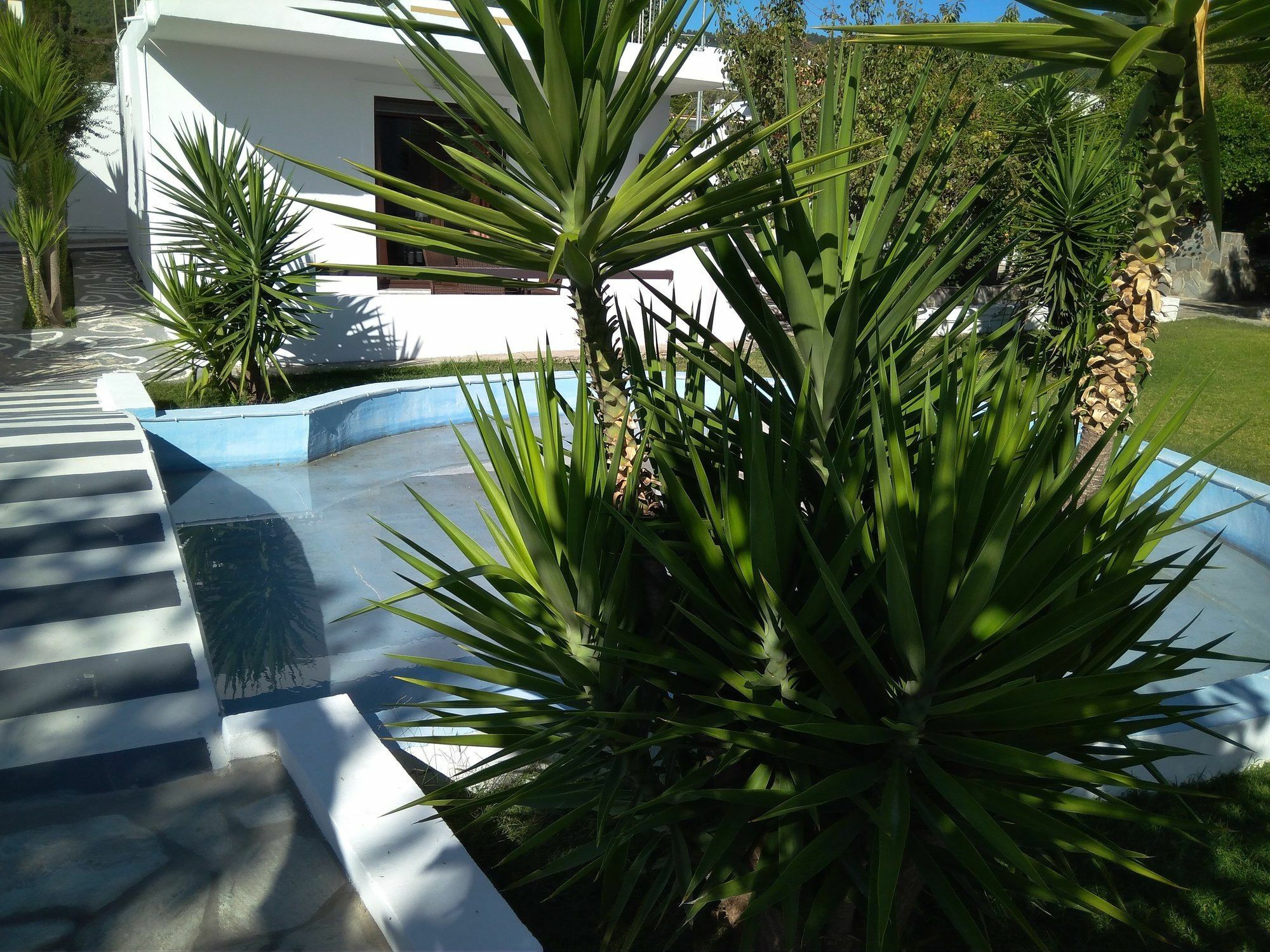 Aparthotel House