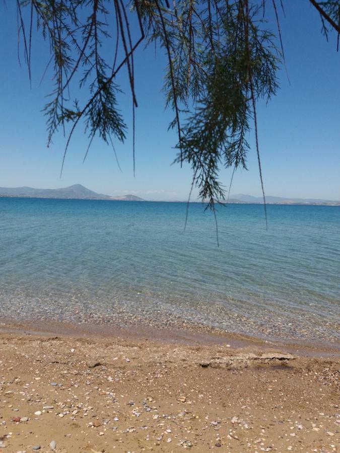 Villa Beautiful Summer In Chalkoutsi Khalkoutsion