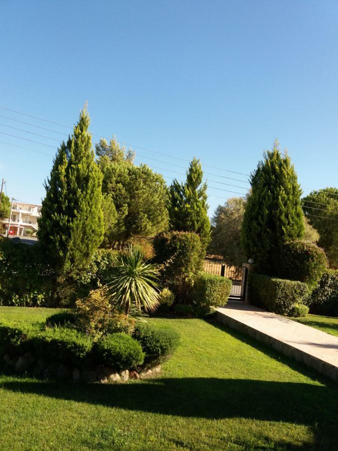 Beautiful Summer In Chalkoutsi Villa