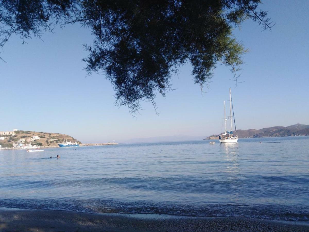 The Blue