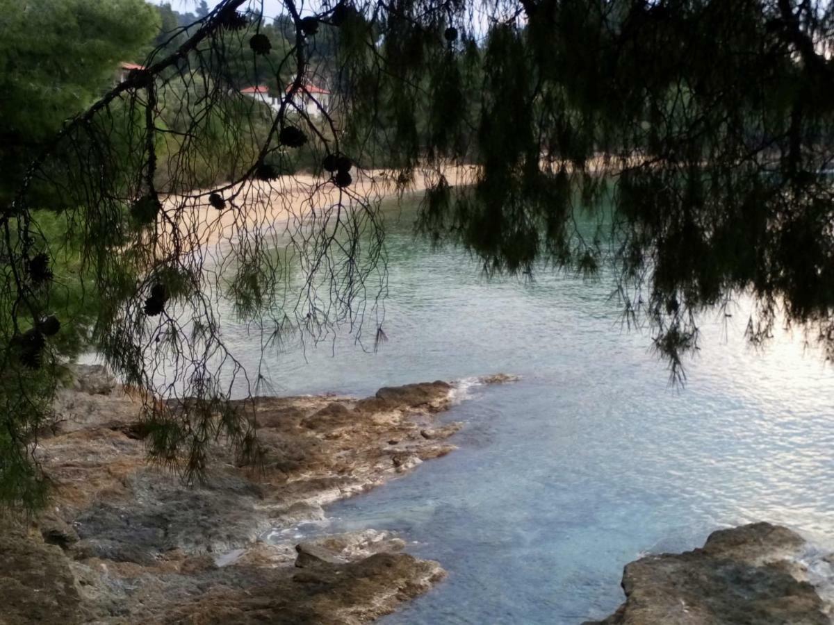 Seaside Hatzi Holiday home