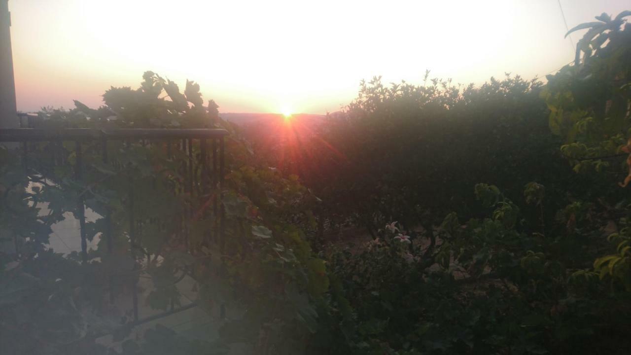 Mimi's Sunnyview House *