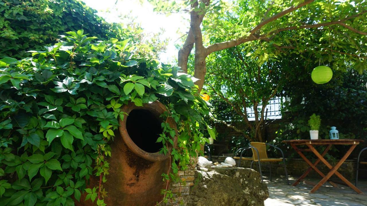 Muses Guest house