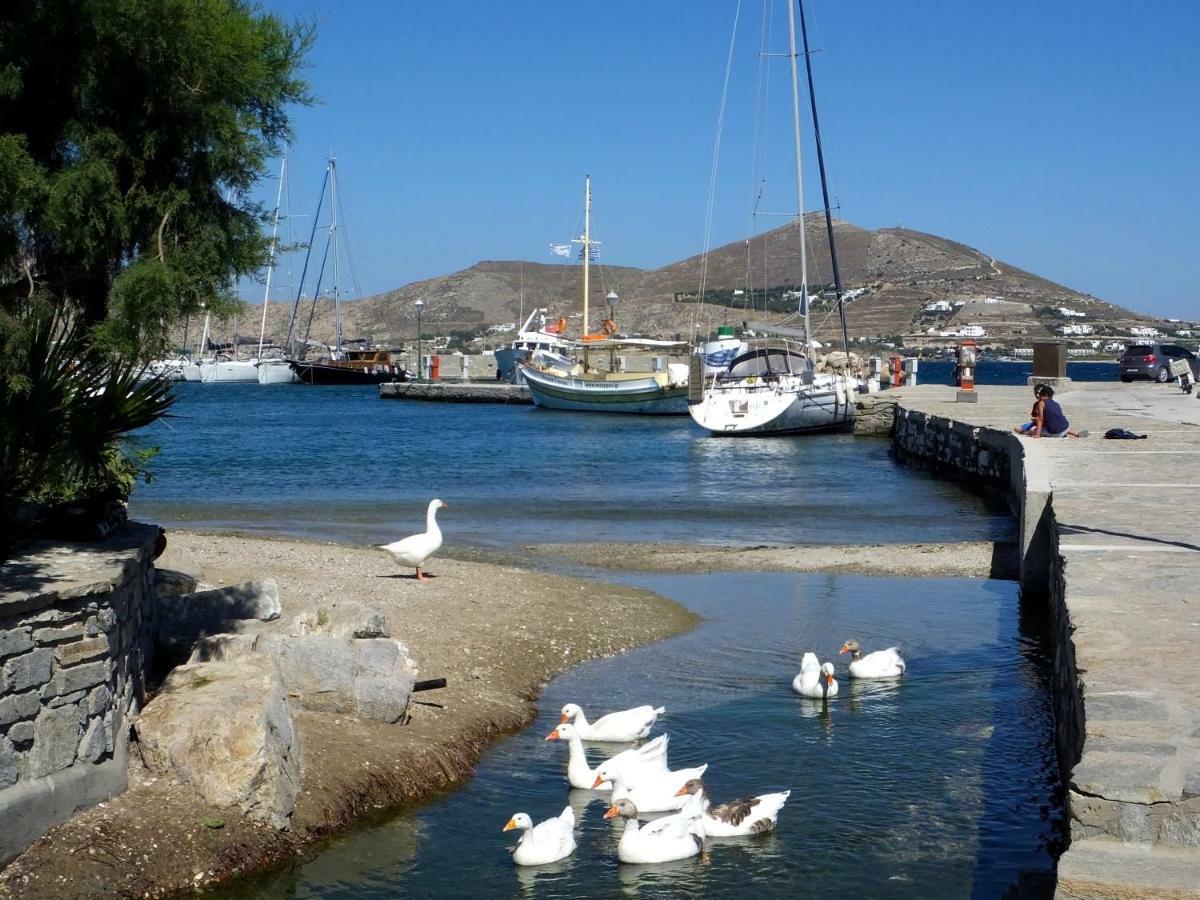 Apartment Viglakia Naousa (Paros)