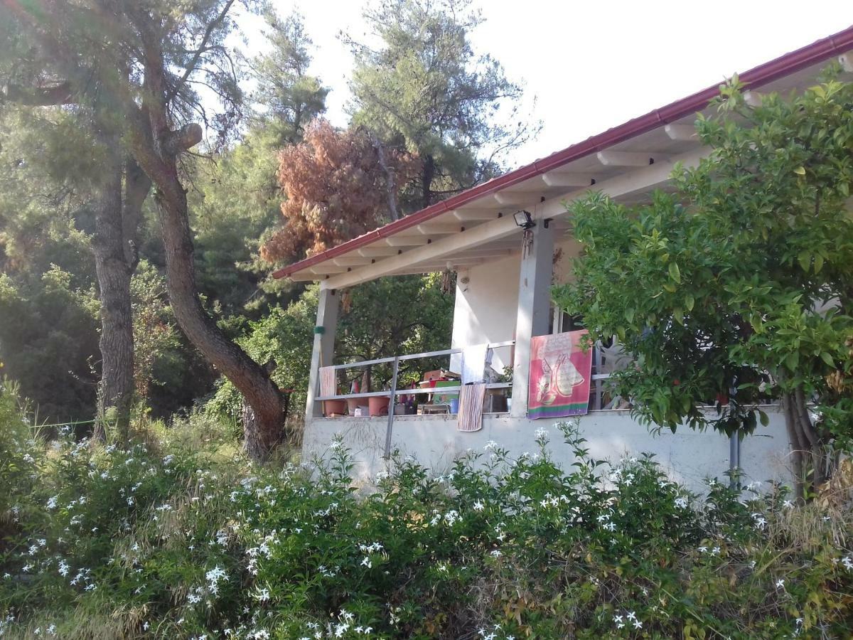 Aliki * Nea Skioni