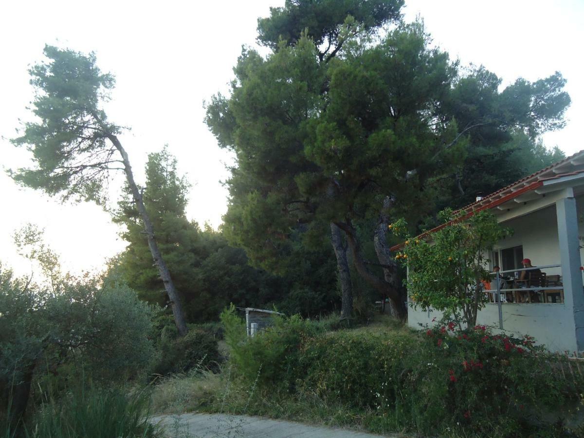 Villa Aliki *