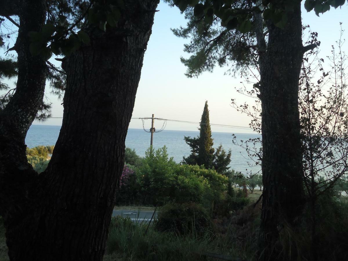 Villa Aliki