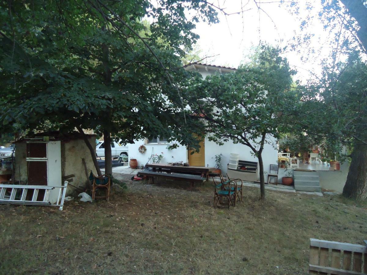 Aliki Villa Nea Skioni
