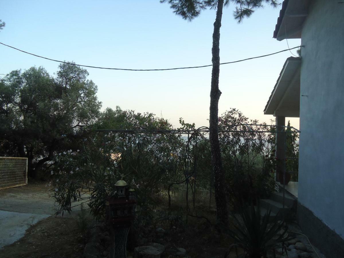 Aliki Villa Nea Skioni