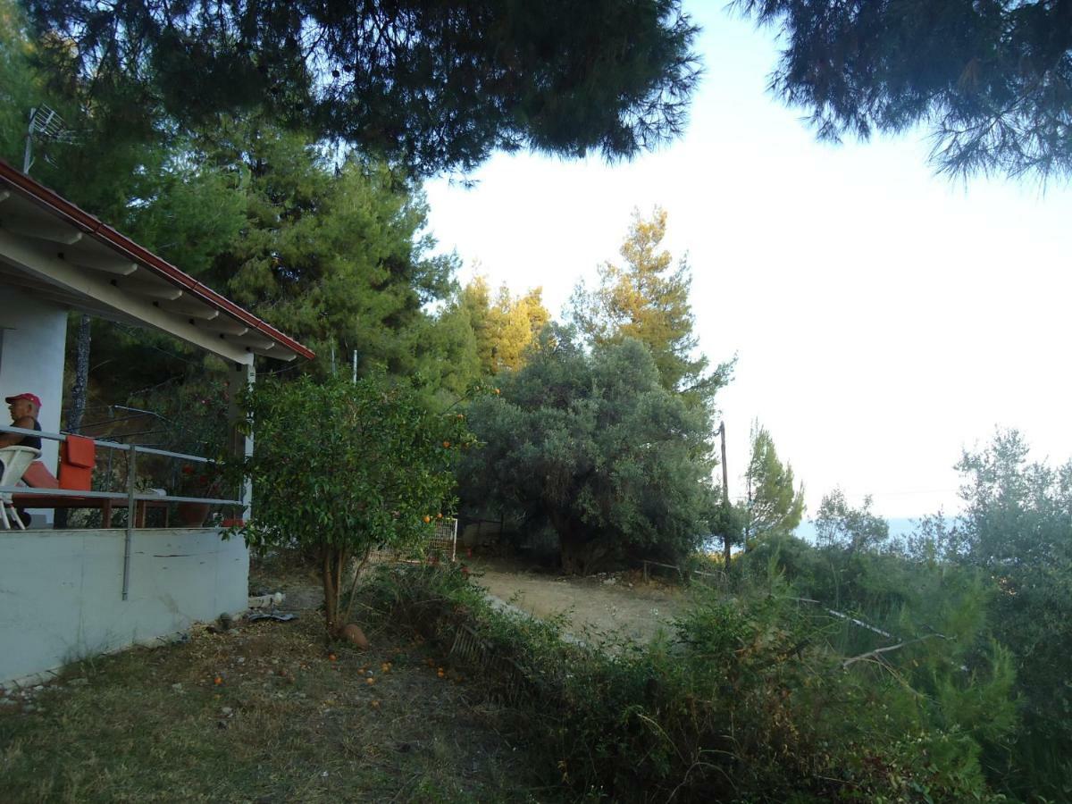 Aliki Villa
