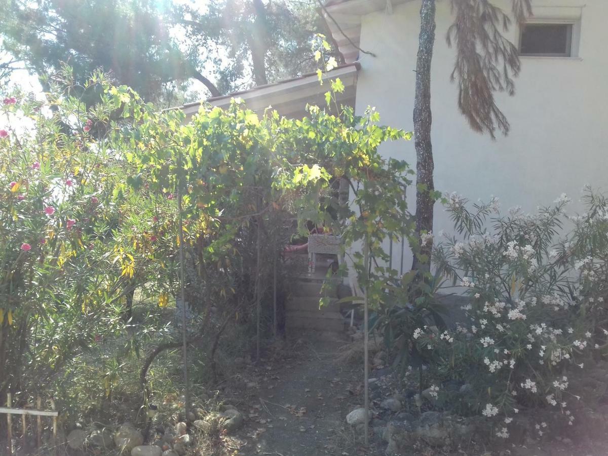 Villa Aliki