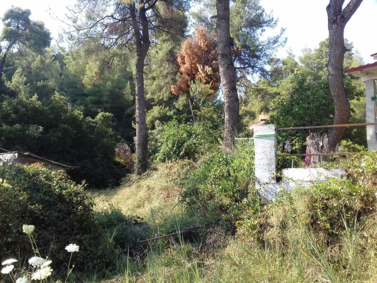 Villa Aliki *