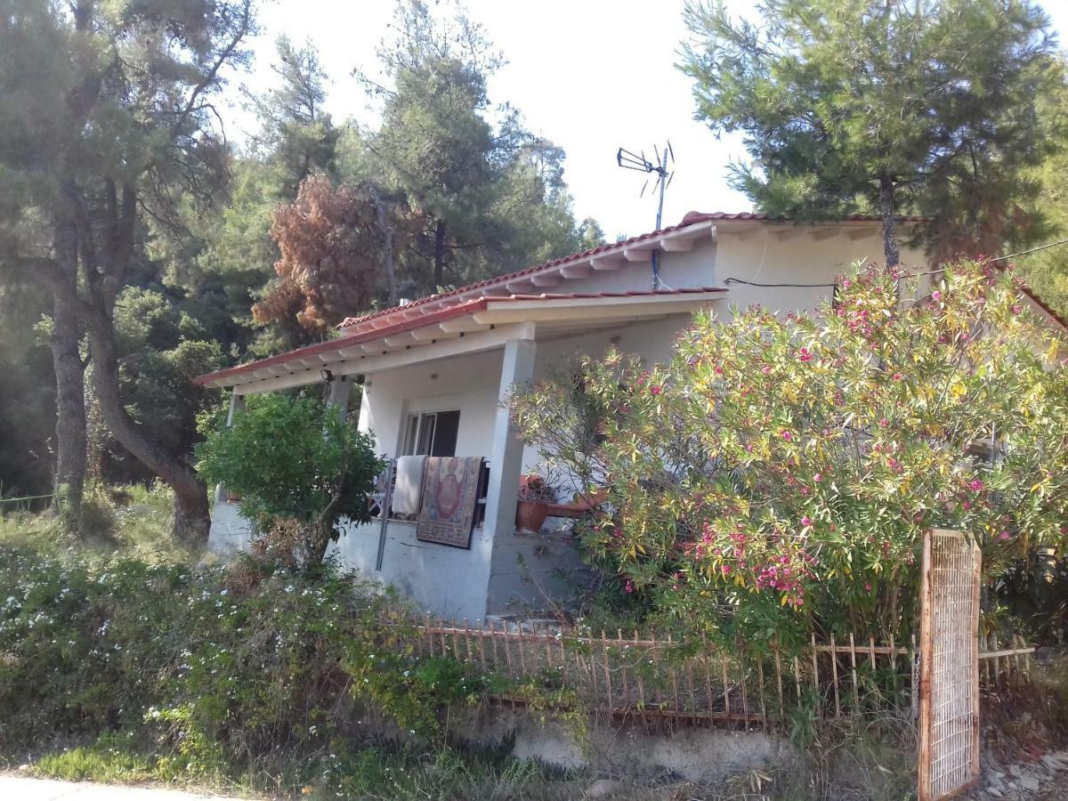 Villa Aliki Nea Skioni