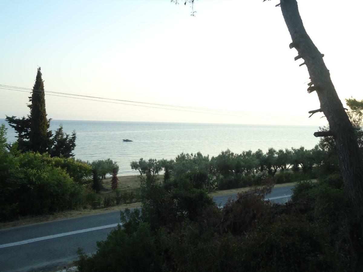 Aliki