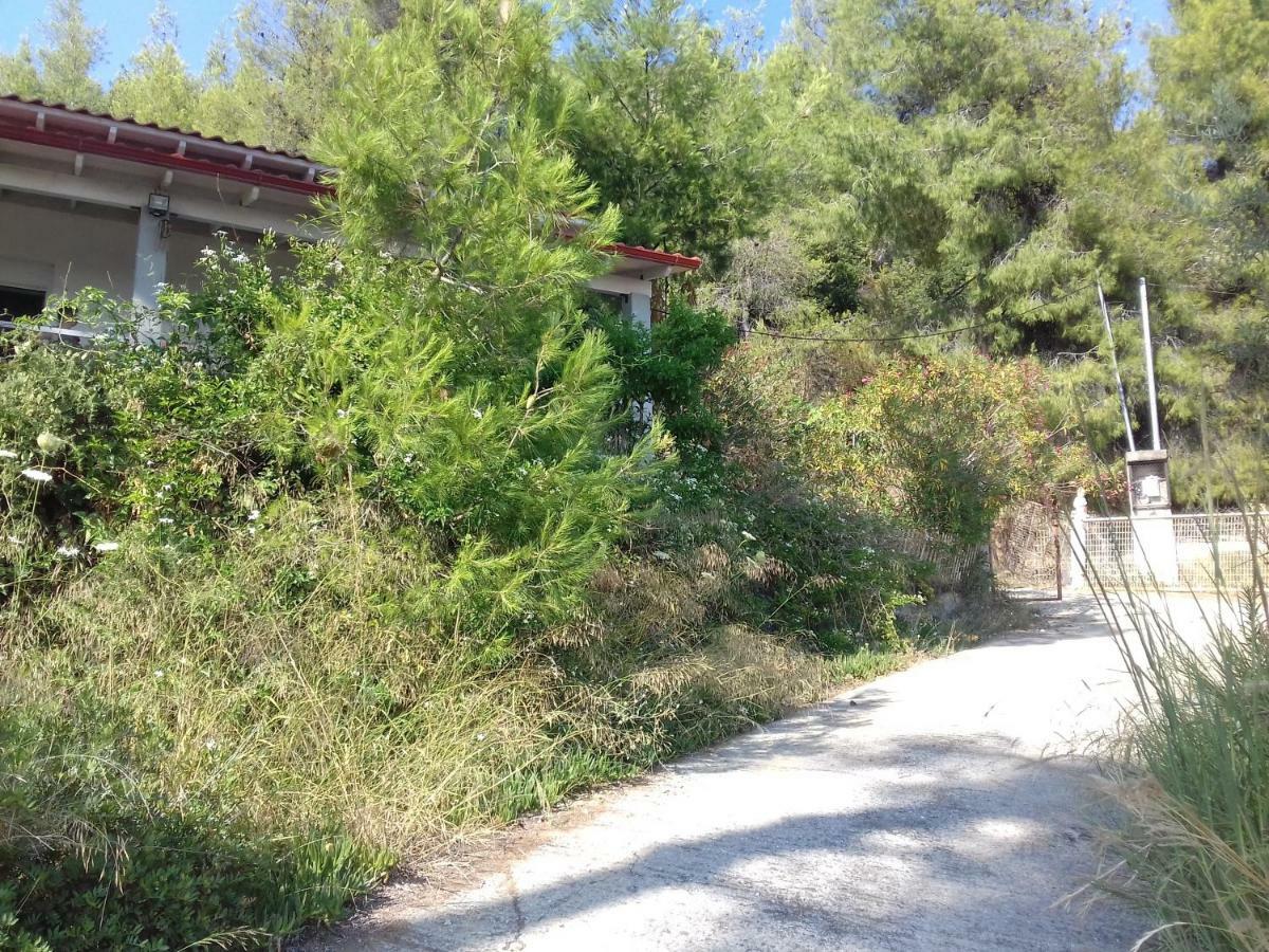 Aliki Nea Skioni