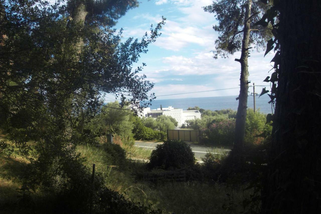 Villa Aliki Nea Skioni